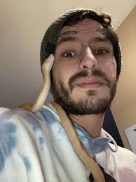 Little Lavender Albino het Anery dwarf girl is doing great. She has an  amazing personality as well!