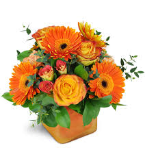 Maybe you would like to learn more about one of these? Sue S Orchid Sarnia On Florist