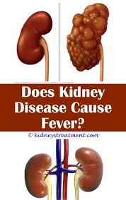 Pin On Chronic Kidney Disease