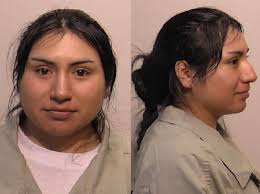 Female pythonidae snake availability and purchase