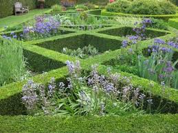 A knot garden is a garden of very formal design in a square frame, consisting of a variety of aromatic plants and culinary herbs including germander, marjoram, thyme, southernwood, lemon balm, hyssop. Blue Section Of The Knot Garden In Spring Picture Of Upton Oaks Garden Rapaura Tripadvisor