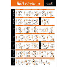 Stability Exercise Ball With Exercise Chart Pump