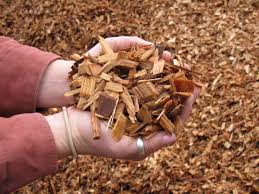 Wood Chips Wood Chips Around Trees Wood Chips And Termites Wood Chips Albuquerque