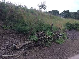 Hangsicherung Mit Totholzhecke Benjeshecke Garten Hecke