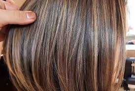 Unlike instagrammable rose gold, gray, and the gamut of rainbow hair colors we've witnessed on red carpets and social media, dark brown is one shade that will simply never go. Elegant Brown Hair Shades Highlights For Short Hair Stylezco