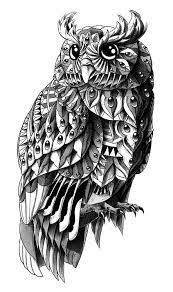 bioworkz coloriage hibou dessin tatoo de cirque