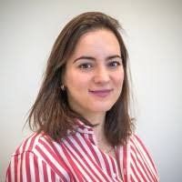 400+ profilů „Mervis“