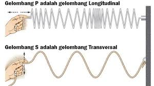 bentuk gelombang longitudinal dan transversal