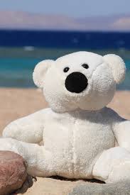 Free Download Teddy Bear Iphone Hd Wallpaper Iphone Hd Wallpaper Download Iphone 640x960 For Your Desktop Mobile Tablet Explore 50 Teddy Bear Hd Wallpaper Teddy Bear Wallpapers For Desktop