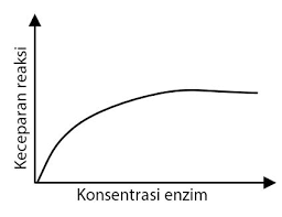We did not find results for: Soal Un Sma Ipa Biologi 2015 Sifat Enzim Dan Kinerjanya Idschool