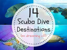 One of the best places to go scuba diving is in hawaii. 14 Best Scuba Diving Destinations In The World Traveltomtom Net