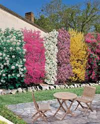» de sirene, auquel 107 utilisateurs de pinterest sont abonnés. Haie Des Quatre Saisons 6 Arbustes Viorne Weigelia Seringat Tamaris Forsythia