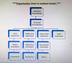 Organizational Chart Of Housekeeping Department In A Small