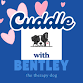 Cuddle with Bentley the Therapy Dog event in Danvers, MA