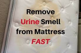 If you want to know how to clean urine stains from a mattress, whether they're fresh or already set in, check out these easy tips to make your bed look and smell new if your bed is the victim of frequent accidents, you may want to also regularly apply a thin layer underneath the sheets to keep things fresh. How To Remove Urine Smell From Mattress Fast