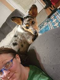 Look! I'm taller than you thought I'd be!…