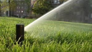 A lawn that is watered deeply should generally be able to go 5 to 8 days between waterings. How Long Should I Water My Lawn Liquid Lawn Of Macon Warner Robins