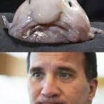 Soldador de profesión, lofven fue dirigente sindical y. En Elak Javel Sida 134 Av 387 Grabbiga Skriverier Allt Fran Humor Kul Klipp Elakheter Och Politik Till Styrketraning Katter Lanktips Jamstalldhet Och Kanslor