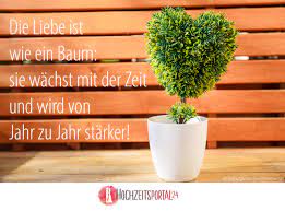 Neben dem geburtstag der frau gehört der hochzeitstag zu den tagen im jahr, die ein guter ehemann tunlichst niemals vergessen sollte. Hochzeitsbaum Pflanzen Ein Schoner Brauch Fur Nachhaltige Freude Hochzeitsportal24