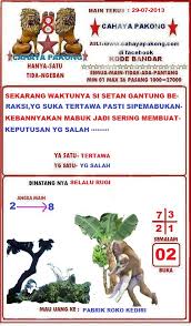 Pakong 888 binatang pakong togel. Cahaya Pakong Cahayapakong