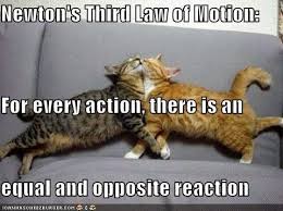 Newton S Third Law States Whenever Two Bodies Are Acting On Each Other They Are Exerting Equal And Opposite Forces The Dog Language Science Memes Fun Science