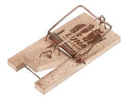 Luna Mouse Trap Baumanns Of Stillorgan