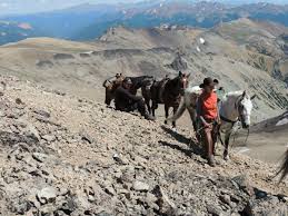 Here you may to know how to become a ranch hand. Ranch Jobs In Canada Backcountry Canada Travel