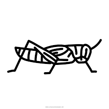 Free sad grasshopper coloring page to download or print, including many other related grasshopper coloring page you may like. Grasshopper Coloring Page Ultra Coloring Pages