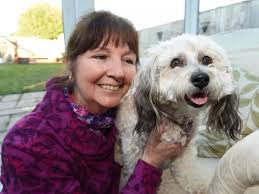 Video: 'Cinderella dog' Binky rescued from Cypriot 'hellhole' to star at  Crufts