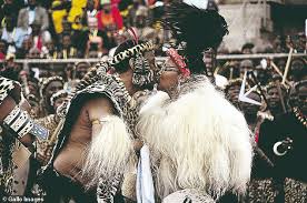 As the traditional leader of the zulu nation, zwelithini did not hold political office but had considerable influence over the country's estimated 12 million zulus, the largest ethnic group of south africa's 60 million people. Fhkvfmvehc0phm