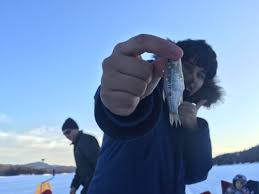 =closest thing i ever caught to the biggest fish i ever caught. Not The Biggest Fish Ever Caught But Ice Fishing Is Always Fun Bild Von Camp Driftwood Indian Lake Tripadvisor