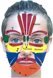 Cogent Reflexology Of The Face Chart Reflexology