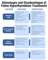 Why Choose Radioiodine To Treat Your Cats Hyperthyroidsm