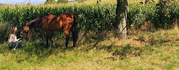 見る TWICE Momo Fake Porn - Deepfake セックス ビデオ Now