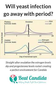 Find Out If Your Yeast Infection Will Go Away With Period And Why You May Be More Prone To Yeast Yeast Infection Treatment Yeast Infection Cure Yeast Infection