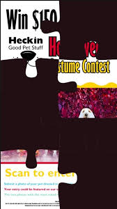 We are almost there! Tomorrow we will kick off a super exciting contest  with not one but two winners!! 🤯, #dogsofinstagram #dogmom #doglover #hgps  #heckingoodboy #petcontest #petcohalloweencontest