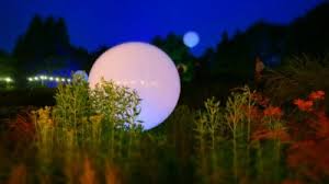 Reagındo as mınhas ınscrıtas dançando funk. Dancando Com A Diferenca Disability Arts International