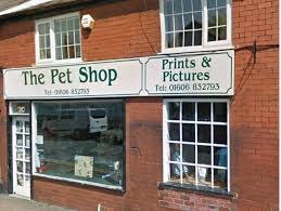 So you've chosen an exotic pet. The Pet Shop In Wheelock Street Staying Open During Lockdown Winsford Guardian