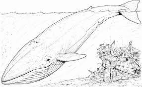 Orca Whale Coloring Page New Whale Coloring Pages In 2020 Whale Coloring Pages Shark Coloring Pages Coloring Pages