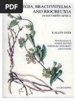 Image result for Zygotritonia atropurpurea