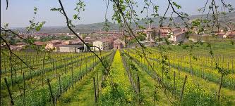 Depth, Nuance, and History”: The Regal Soaves of Pieropan – Grape ...