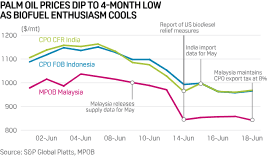 In its virgin form, the oil is bright orange… India S Vegetable Oil Traders Hold Back As Volatility In Palm Oil Futures Intensifies S P Global Platts