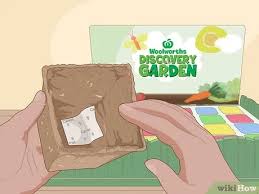 We did not find results for: Easy Ways To Plant A Woolworths Discovery Garden With Pictures