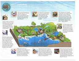 The storm water department is responsible for inspection, maintenance and this includes clearing blocked drains, removing debris from storm drain structures, and cleaning and repairing damaged. Stormwater Drainage System Indian Shores Fl