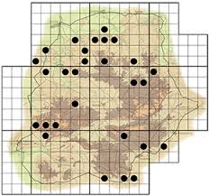 Image result for Obetia tenax