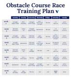 Image result for how to train for obstacle course racing dvd