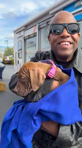 You should come and adopt this amazing puppy ❤️ Great Saturday- City of  Buffalo Animal Shelter