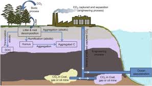 Information on having an enjoyable stay at kwt. Role Of Cultural And Nutrient Management Practices In Carbon Sequestration In Agricultural Soil Sciencedirect