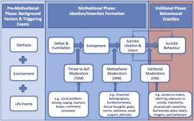 It is social science using grid computing and other information technologies to collect, process, integrate, share, and disseminate social and behavioural data. Exploring The Psychology Of Suicidal Ideation A Theory Driven Network Analysis Sciencedirect