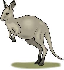 Free habitat cliparts, download free clip art, free clip art on clipart library. Habitat Map Clipart Kangaroo Clip Art Library Clipartix